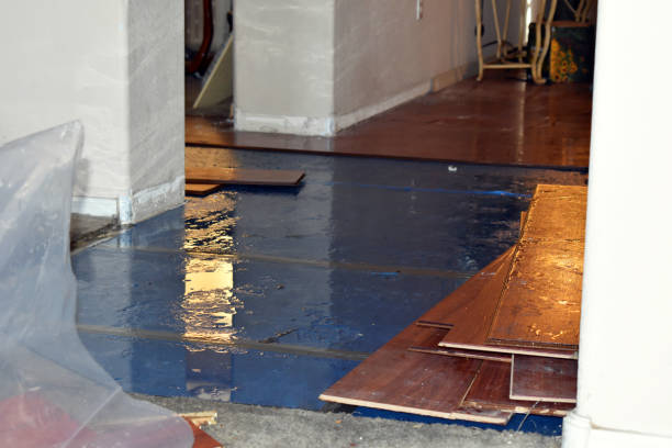 Professional Burst Pipe Cleanup technician working in Zebulon, NC